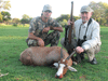 Blesbok