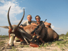 Blesbok