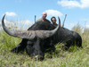 Buffel