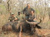 Buffel