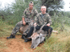 Eland