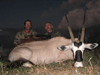 Gemsbok