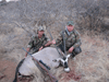 Gemsbok